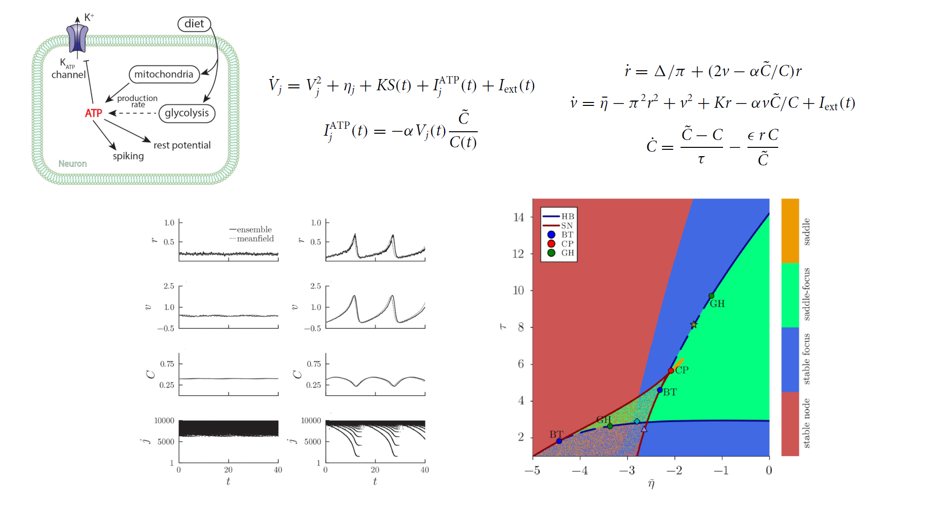 Ketogenic diet and seizure control